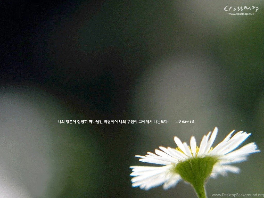 HD New Year 2016 Bible Verse Greetings Card Wallpapers Free: Bible ...