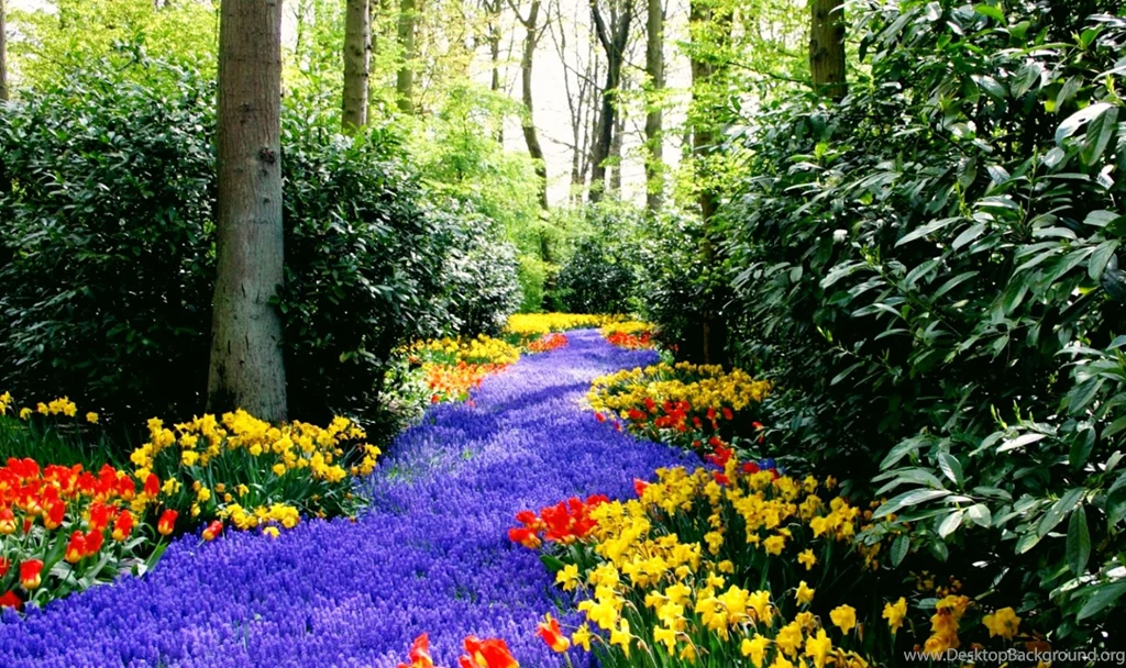Amazing Views, Cool Nature Photos, Nature Wallpapers For Samsung ...