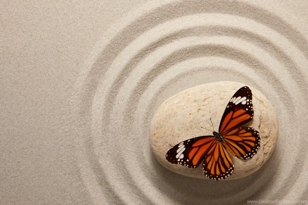 Beautiful Pictures Wallpapers