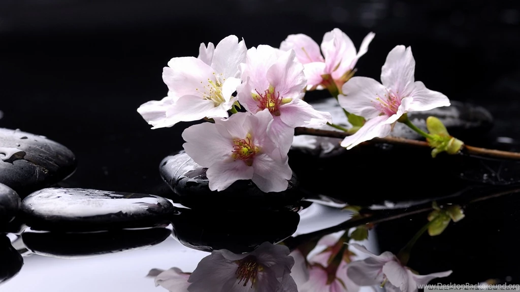 Download Stones Wallpapers 1920x1080