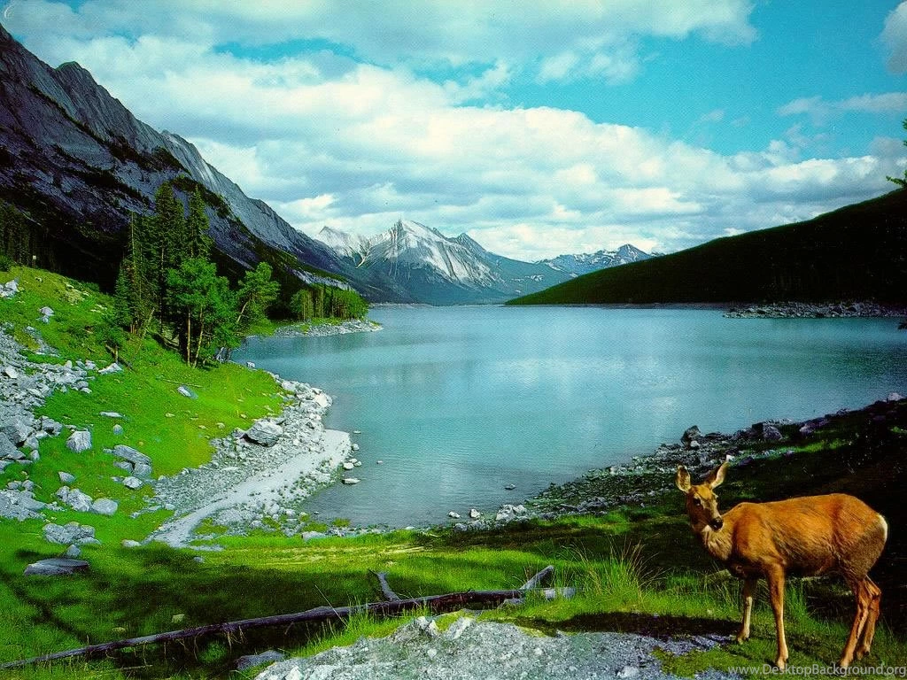 Natural Wallpapers Collection (35+)