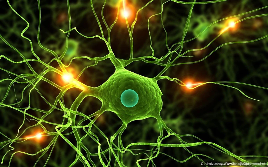 Awesome Biology HD Wallpapers Free Download