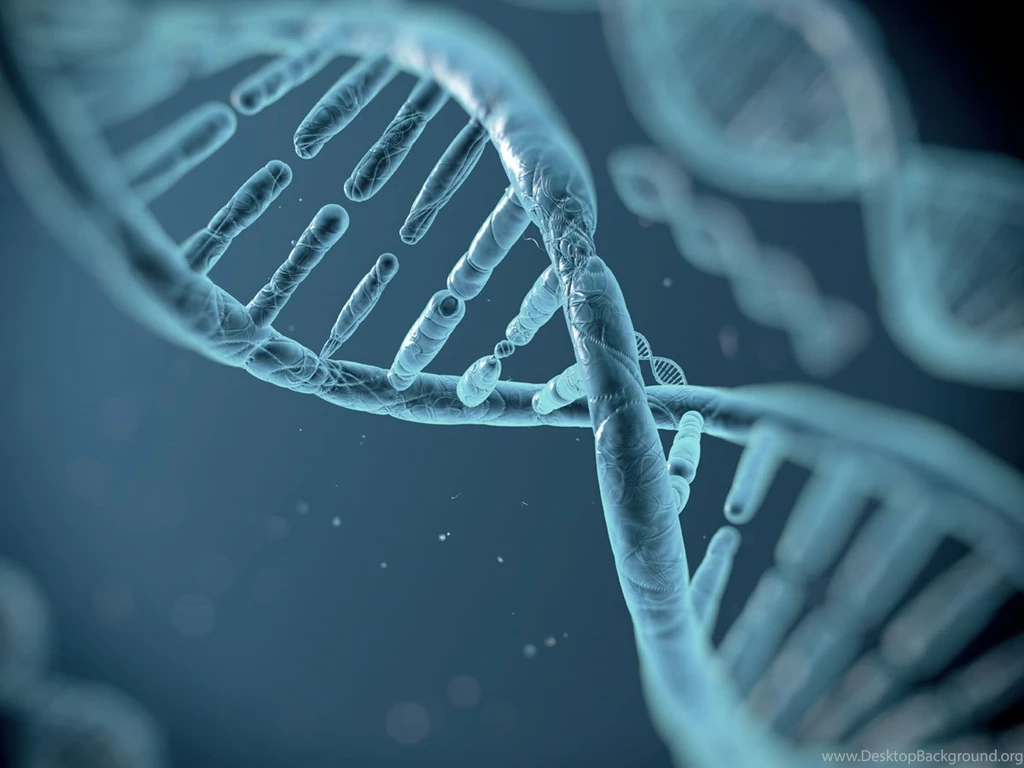Awesome Biology HD Wallpapers Free Download