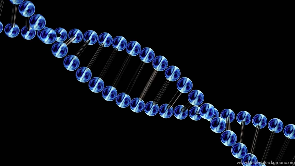 Biology Genetics Wallpapers 13170 1920x1080 UMad.com
