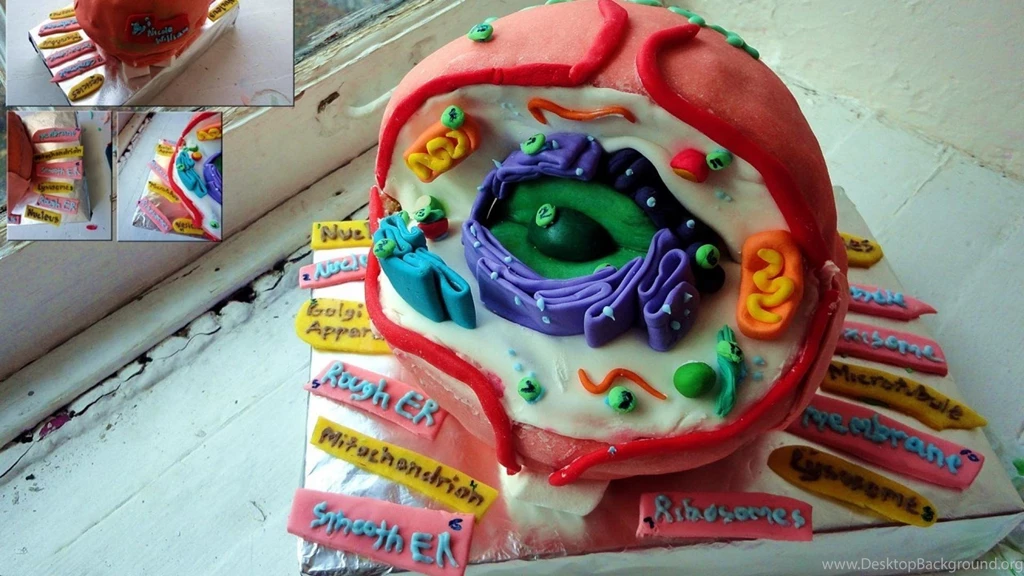 Cell Biology Cakes Wallpapers