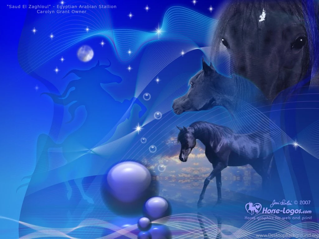 Free Backgrounds Wallpapers For Computer