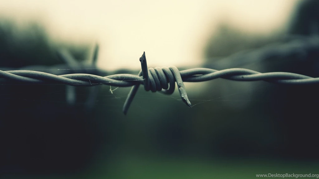 Download The Barbed Wire Wallpaper, Barbed Wire iPhone Wallpapers ...