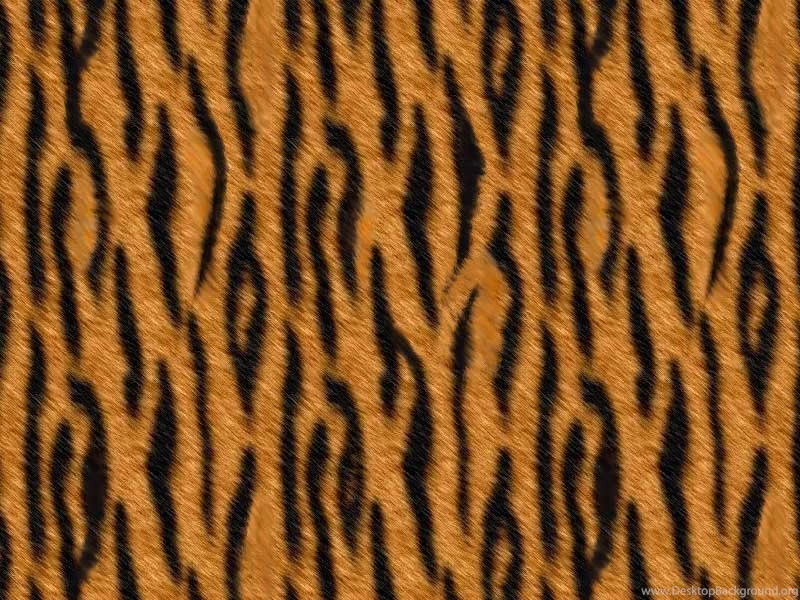 Tiger Print Wallpapers Desktop Backgrounds