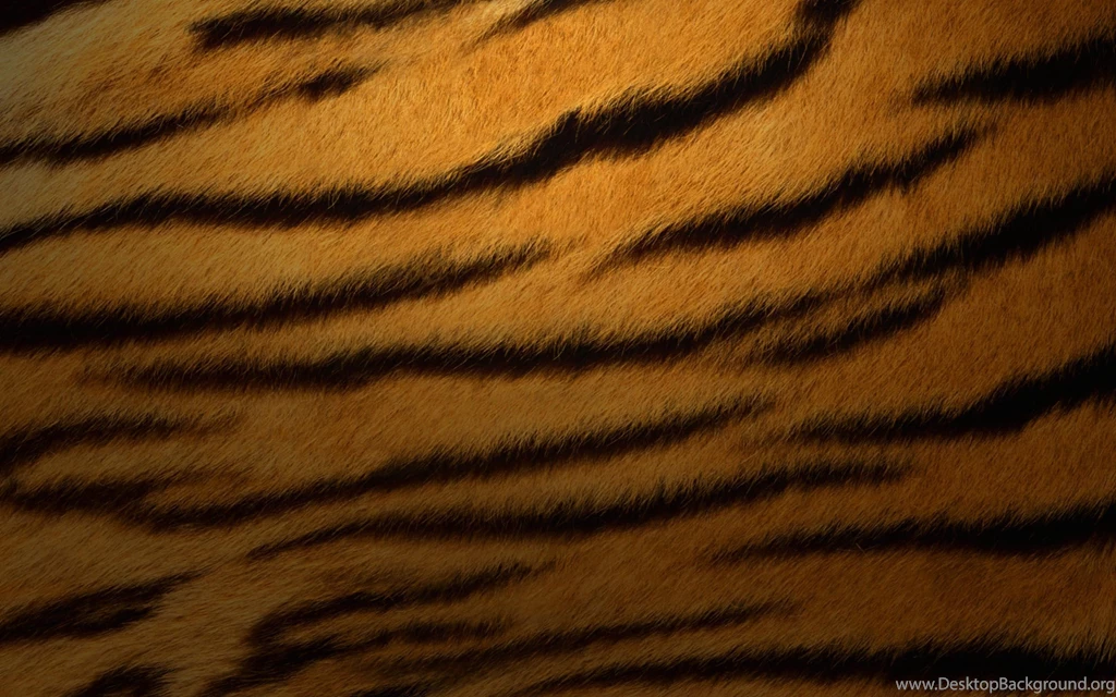 Tiger Fur Background Images