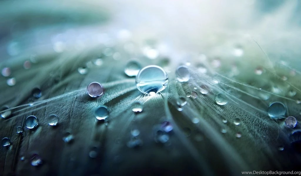 Wallpapers For Android Mobile Phone Free Download   Androidwallpapers