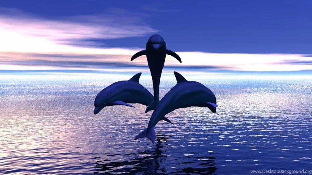 3 DOLPHINS JUMPING OUT OF THE WATER WALLPAPER (