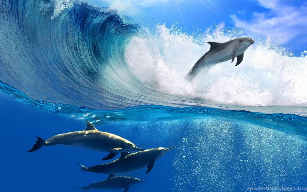 Dolphin Jumping Through Wave