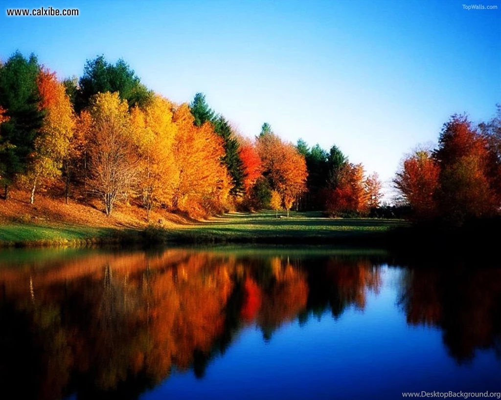 Nature: Fall, Picture Nr. 8212