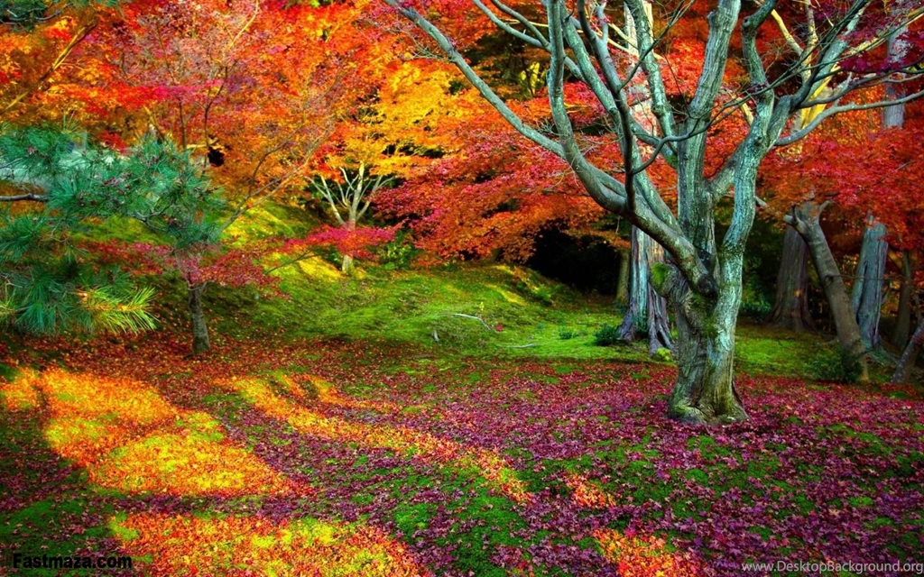 Colorful Hd Wallpapers And Effect Of Color On Mood