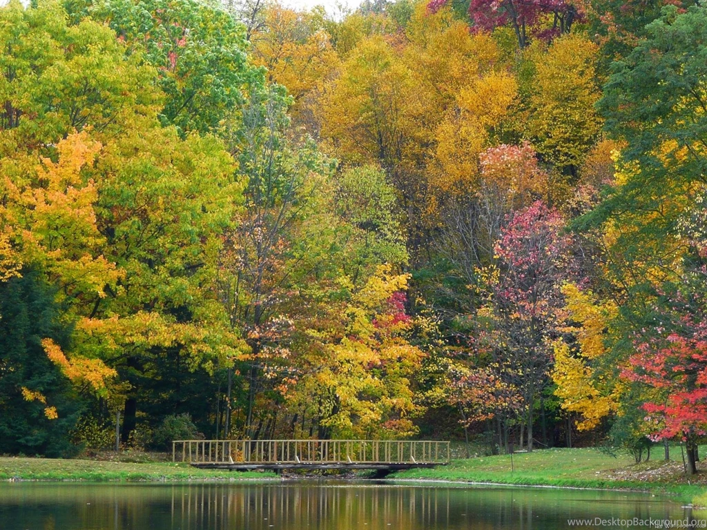 MLeWallpapers.com Seven Springs Fall Bridge IV