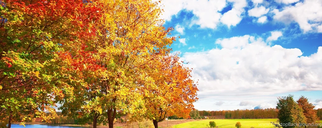 Download Wallpapers 2560x1024 Autumn, Trees, Colors, Palette ...