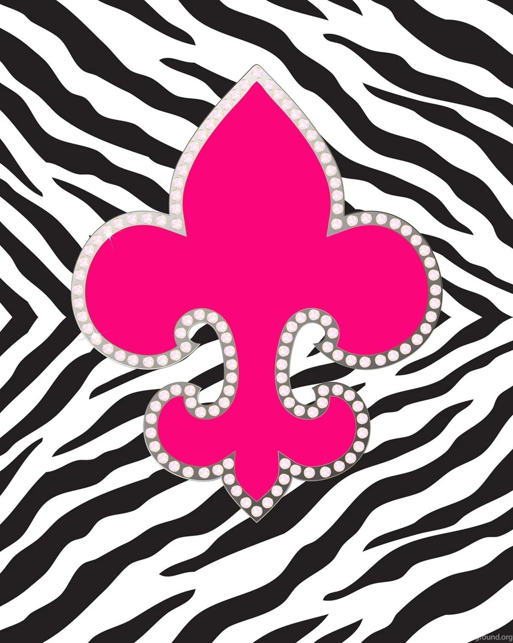 Trololo Blogg: Zebra Print Wallpapers For Ipod