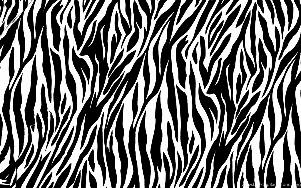 Zebra Wallpapers – AB Wallpapers