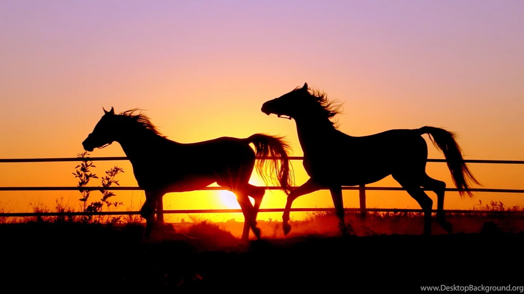 Free Running Wallpapers