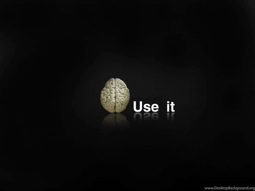 Funny, Thinking, Brain, Slogan, Useful :: Wallpapers