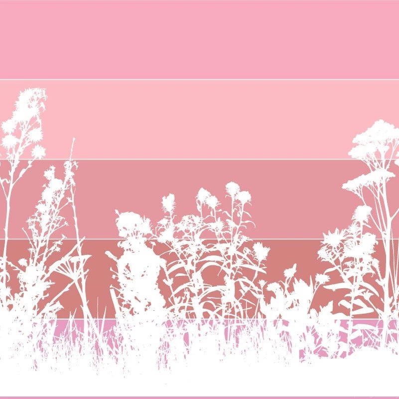 Formal Field Wallpapers Border