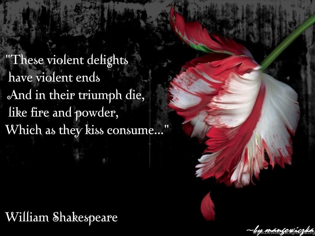 Twilight Saga Backgrounds   Wallpapers Cave