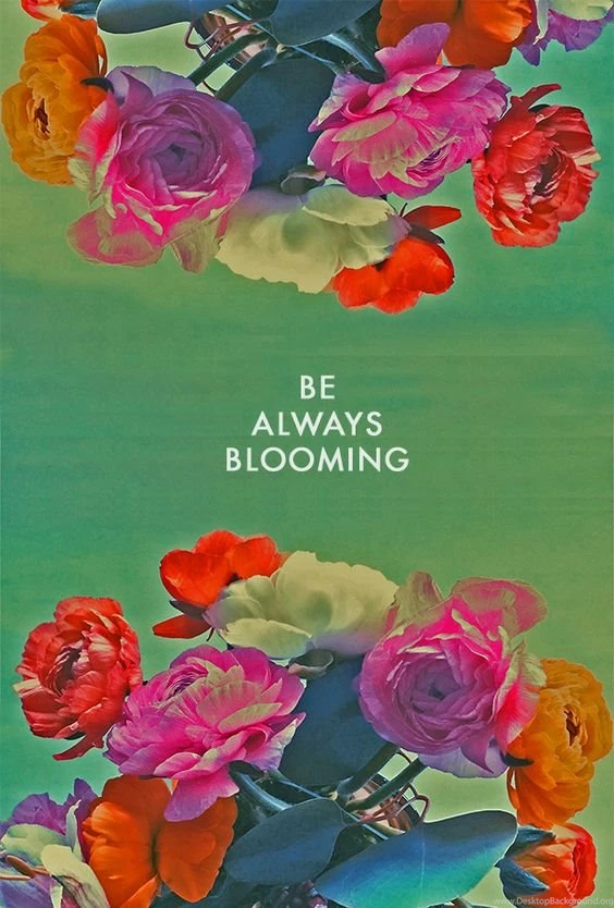 Be Always Blooming / Free Downloadable Desktop Wallpapers