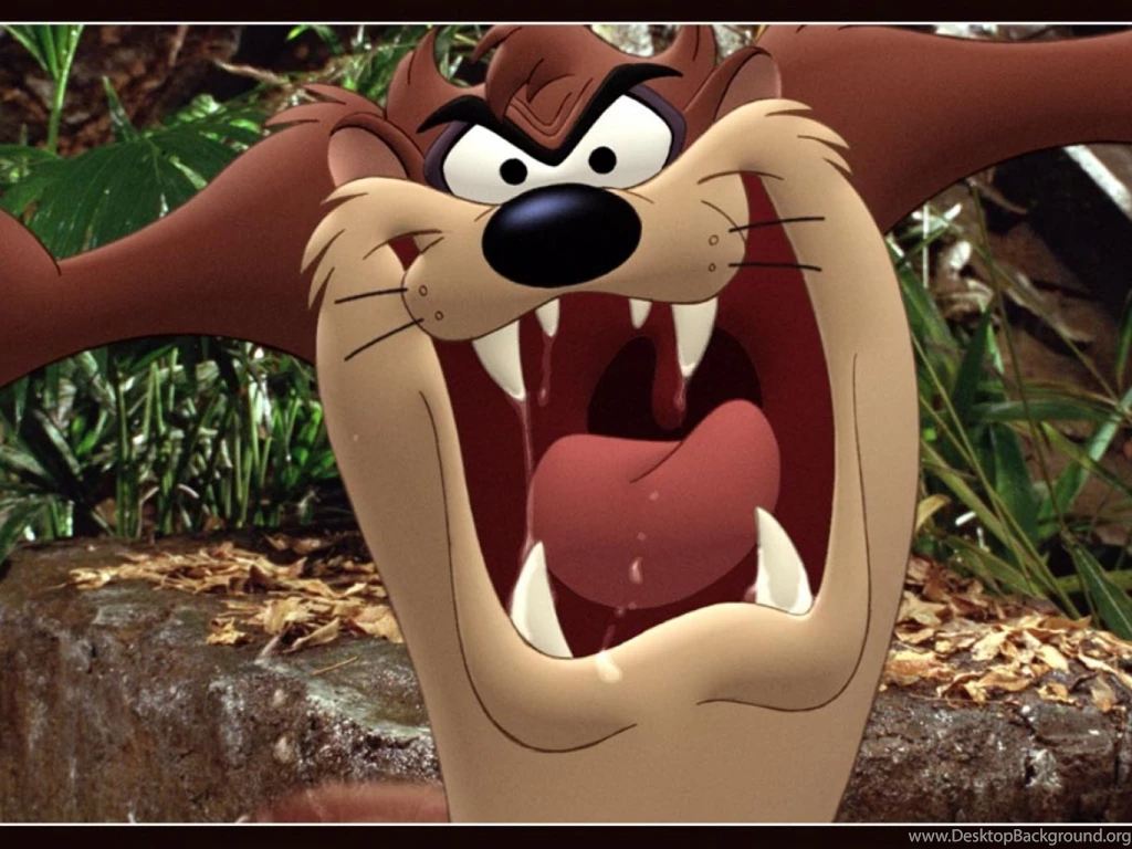 Download Free HD Wallpapers : Wallpapers Tazmania Download Free ...