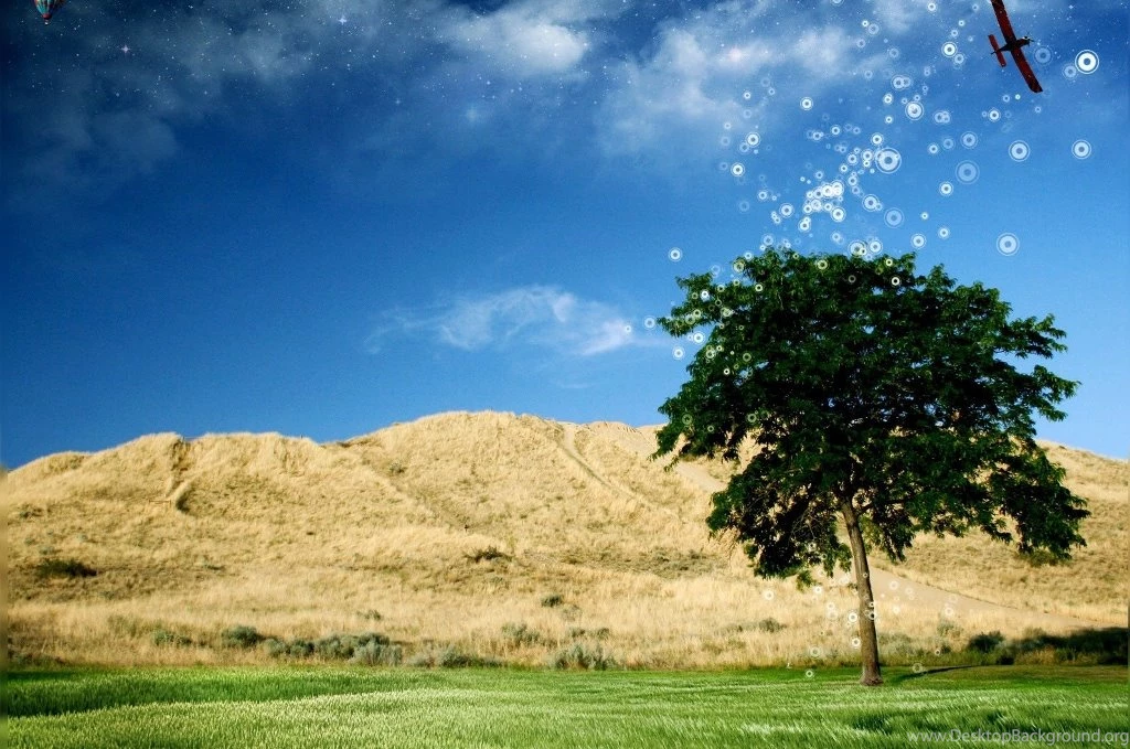 Spring Wallpapers For Desktop