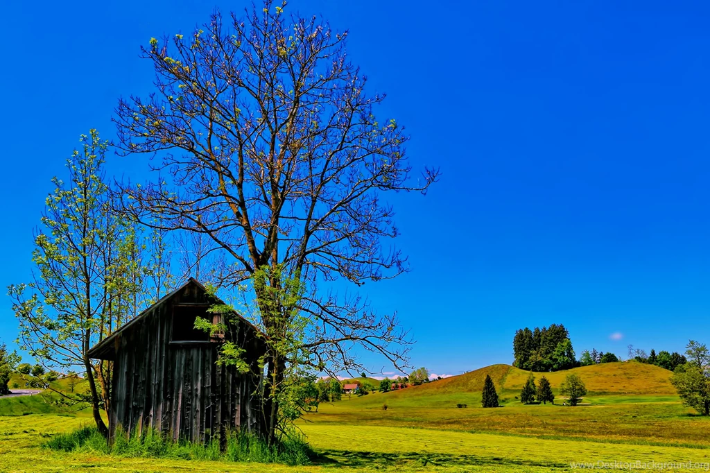 Countryside Trees Spring Sunny Sky Blue House Huts Fields Hills ...