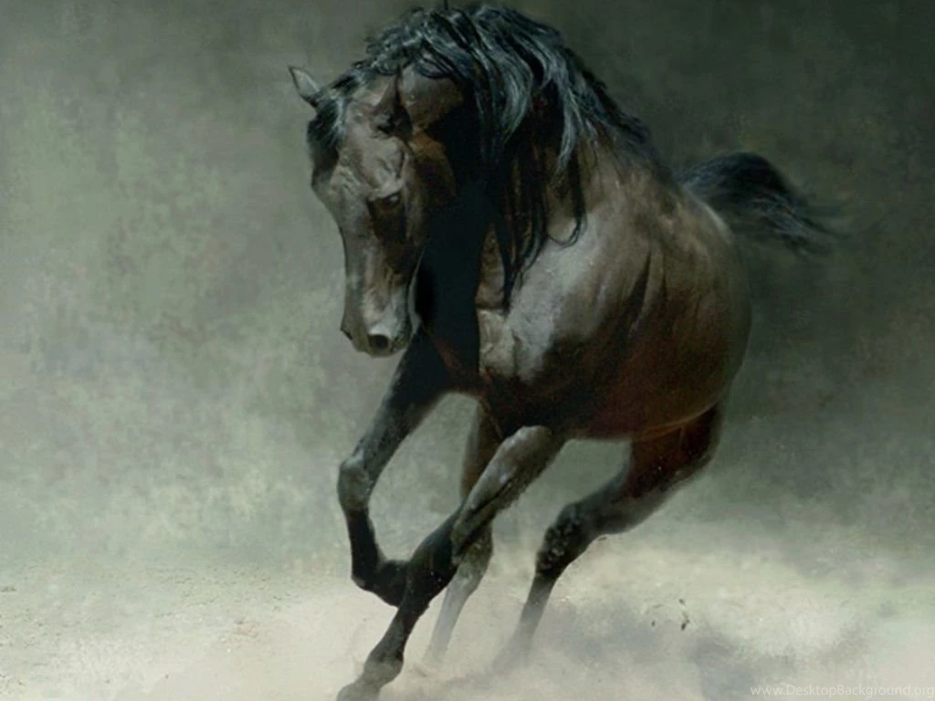 Wild Horses Wallpapers Wallpapers Cave