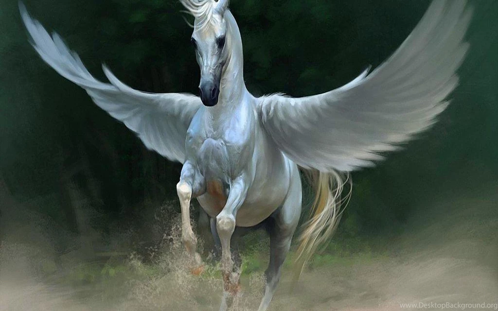 WILD HORSE WALLPAPER (