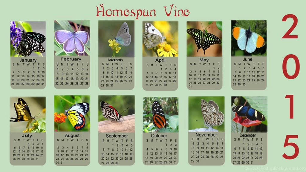 2015 Butterflies Desktop Wallpapers With Calendar