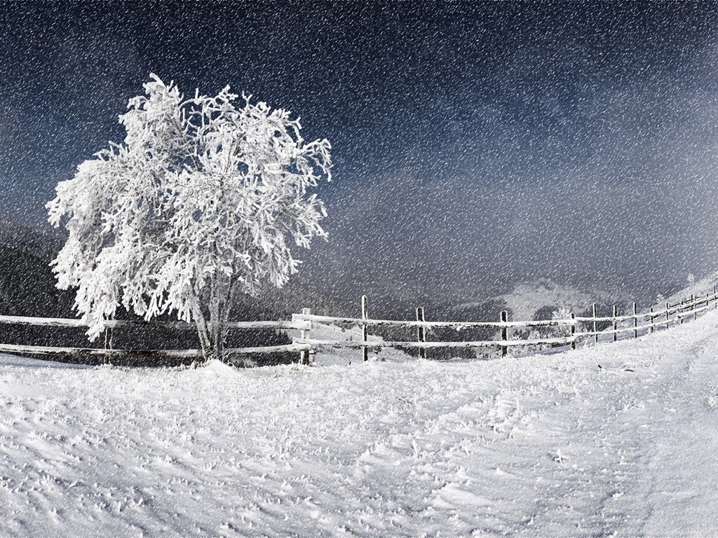 Western, Snow, Storm, Widescreen, High, Resolution, For, Desktop ...