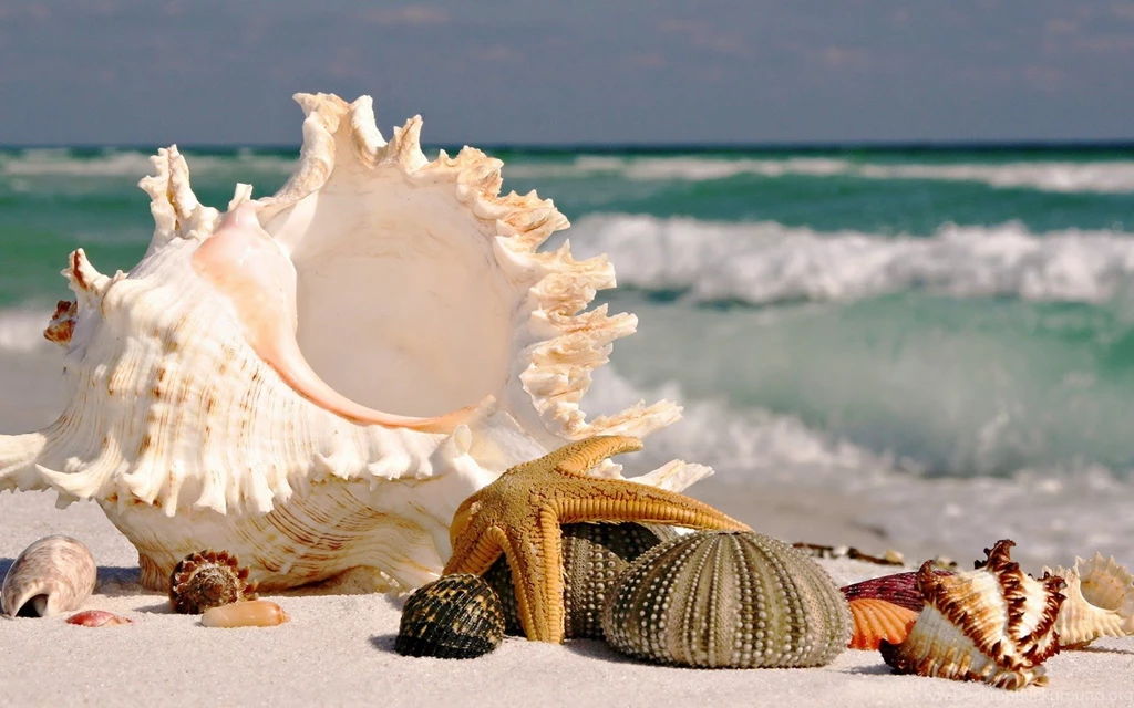 Beach Desktop Backgrounds