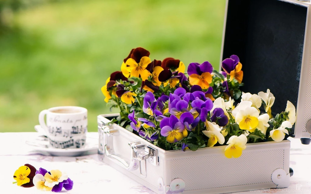 Colorful Suitcase Of Yellow Violet White Flower Hd 1080p
