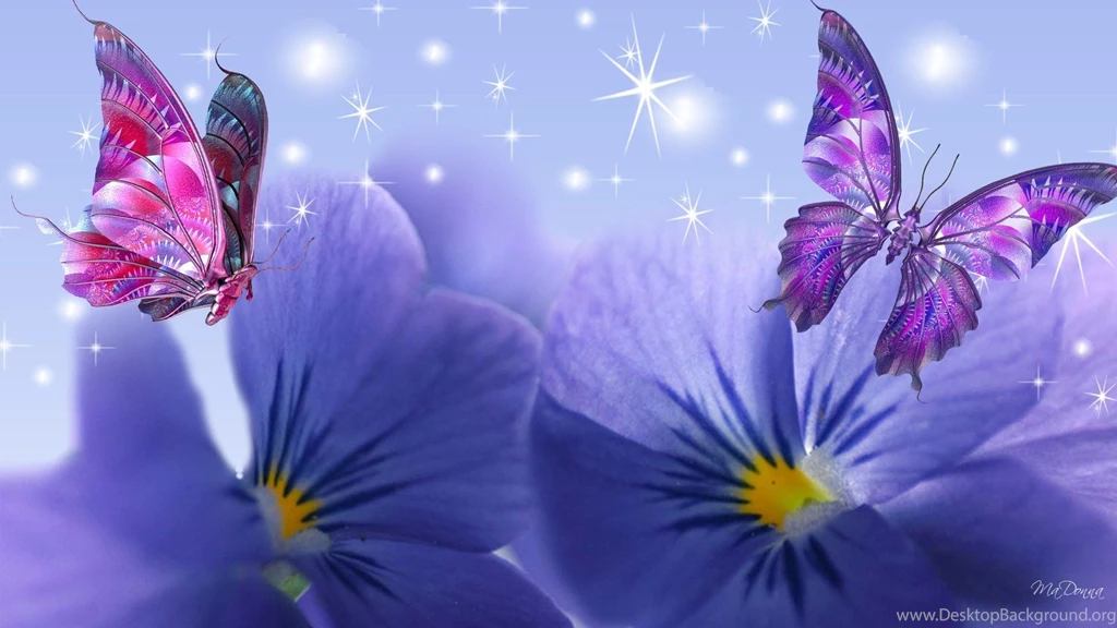 Violets Butterflies >> HD Wallpaper, Get It Now!