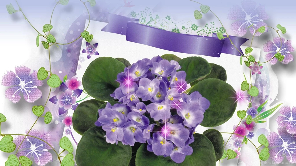 Spring Violets >> HD Wallpaper, Get It Now!