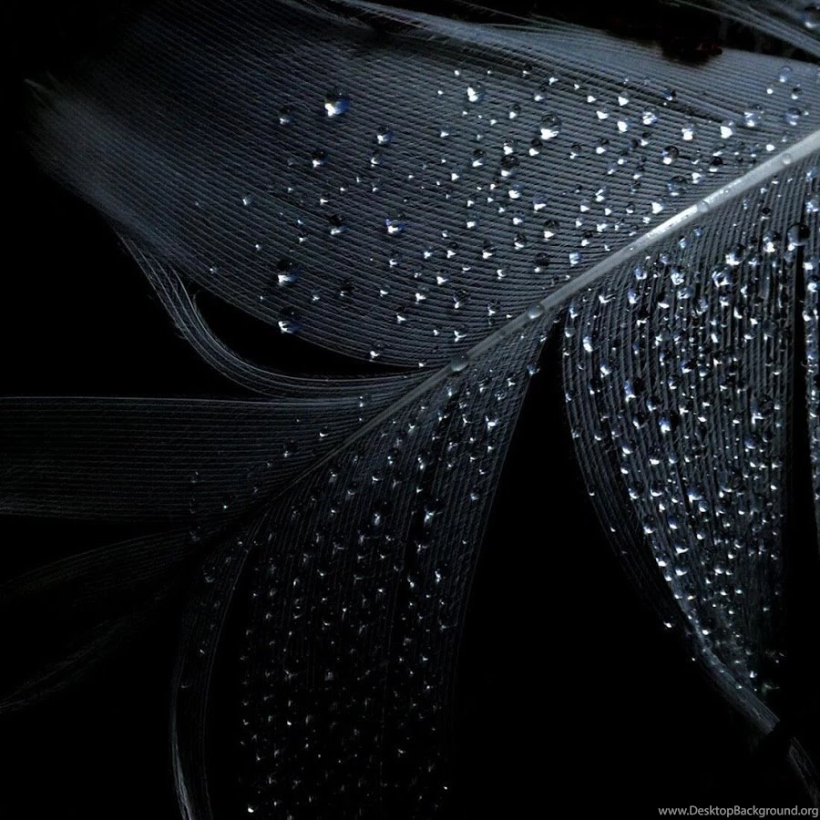 Black Live Wallpapers Android Apps On Google Play
