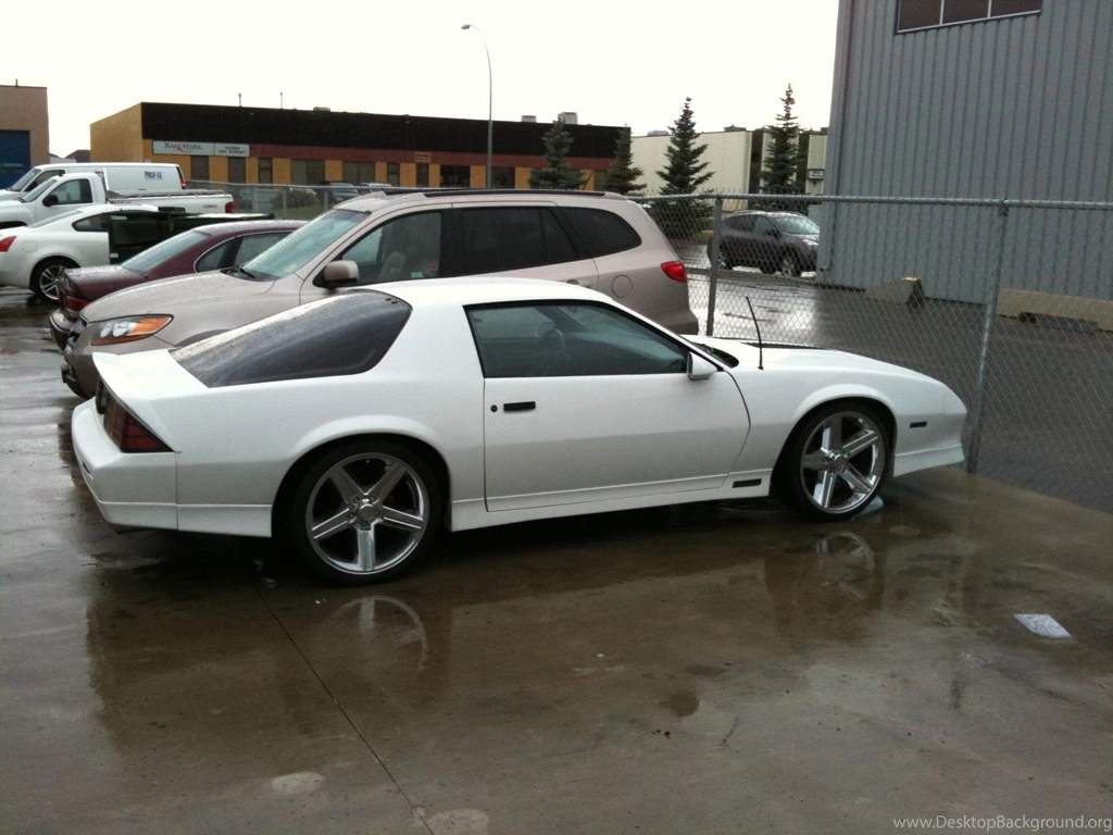ShiftyTheKid's 1988 Chevrolet Camaro In Edmonton, AB