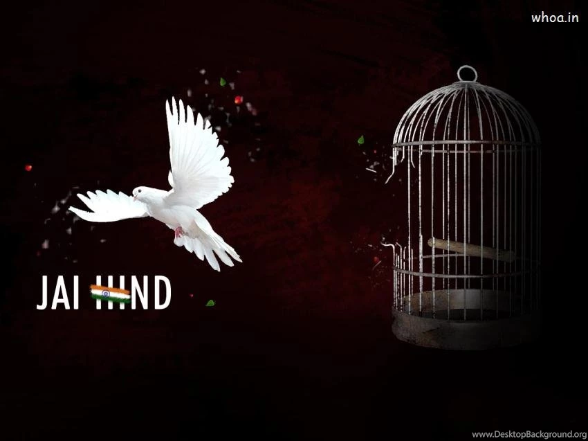 Independence Day Independent Bird Wallpapers