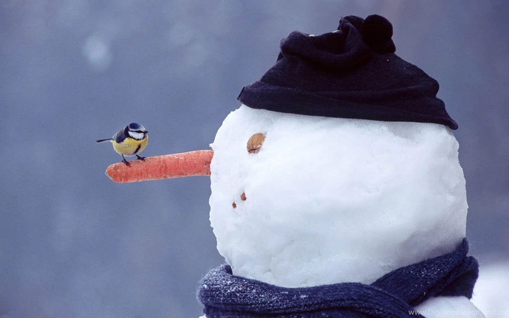Wallpaper: Snowman Wallpapers