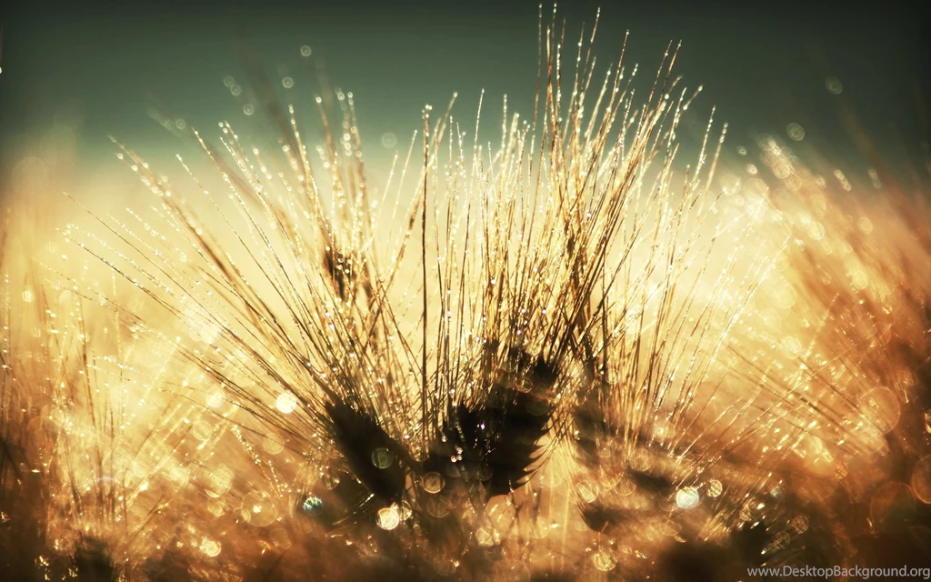 Amazing Nature HD Wallpapers 1920x1200 (30) Hebus.org High ...
