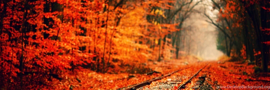 Free Fall Desktop Wallpapers