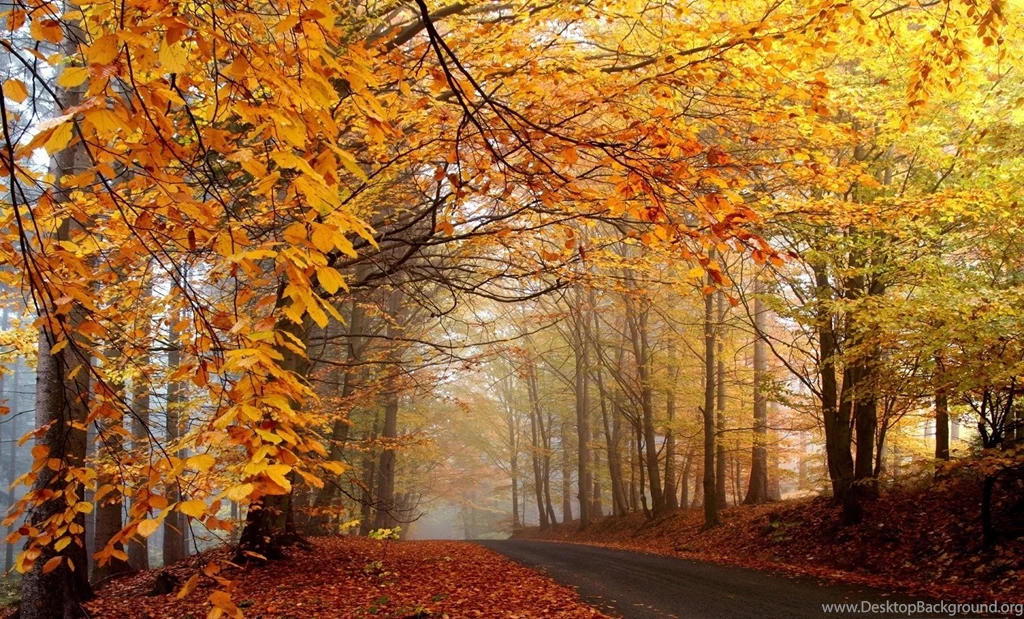 Autumn Landscape Desktop Wallpapers HD Great Images