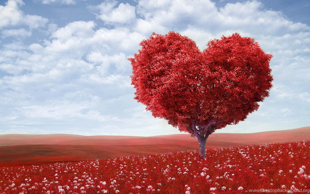 Love Images Wallpapers High Resolution 5376 HD Wallpapers Site