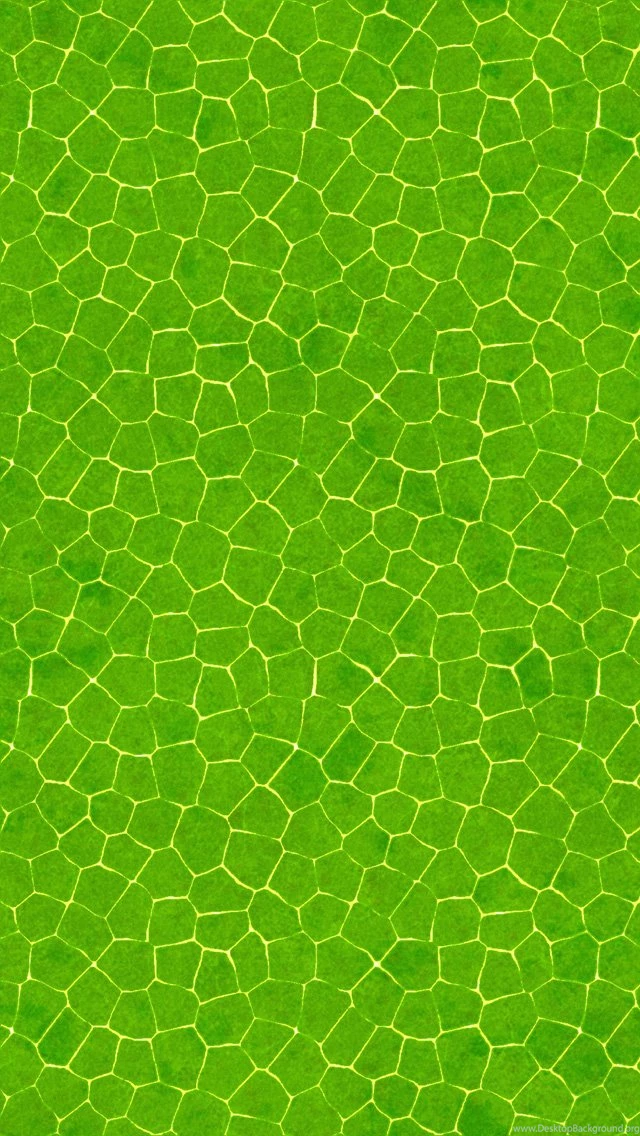Green Backgrounds iPhone 5 Wallpapers