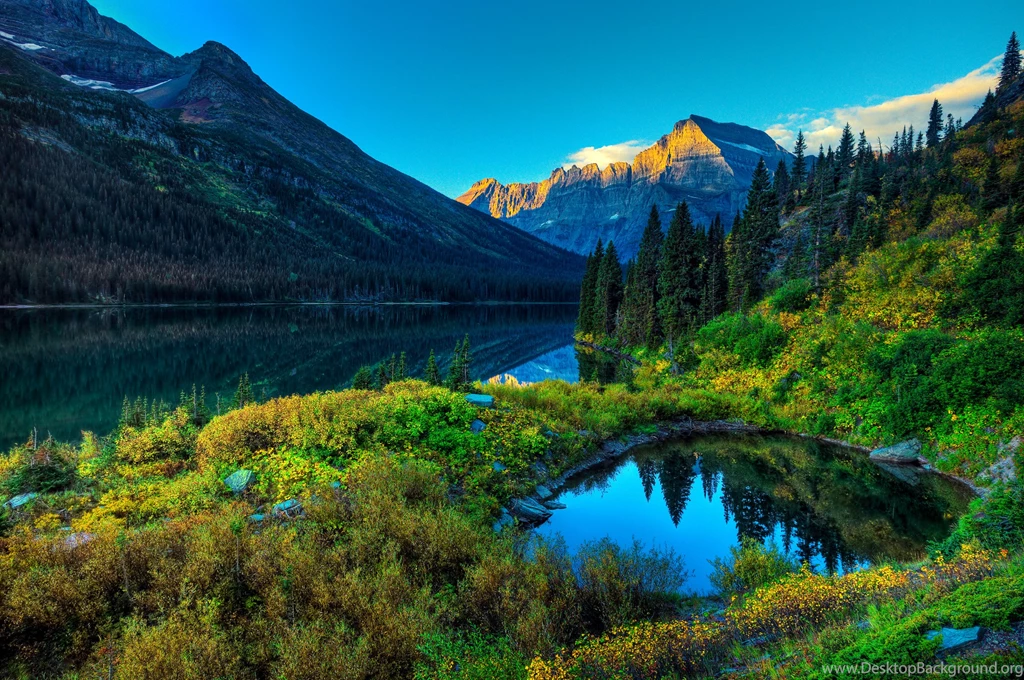High Definition Nature