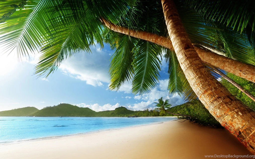 2560x1600 Ocean, Clouds, Palms, Sea, Shore, Landscape, Nature ...
