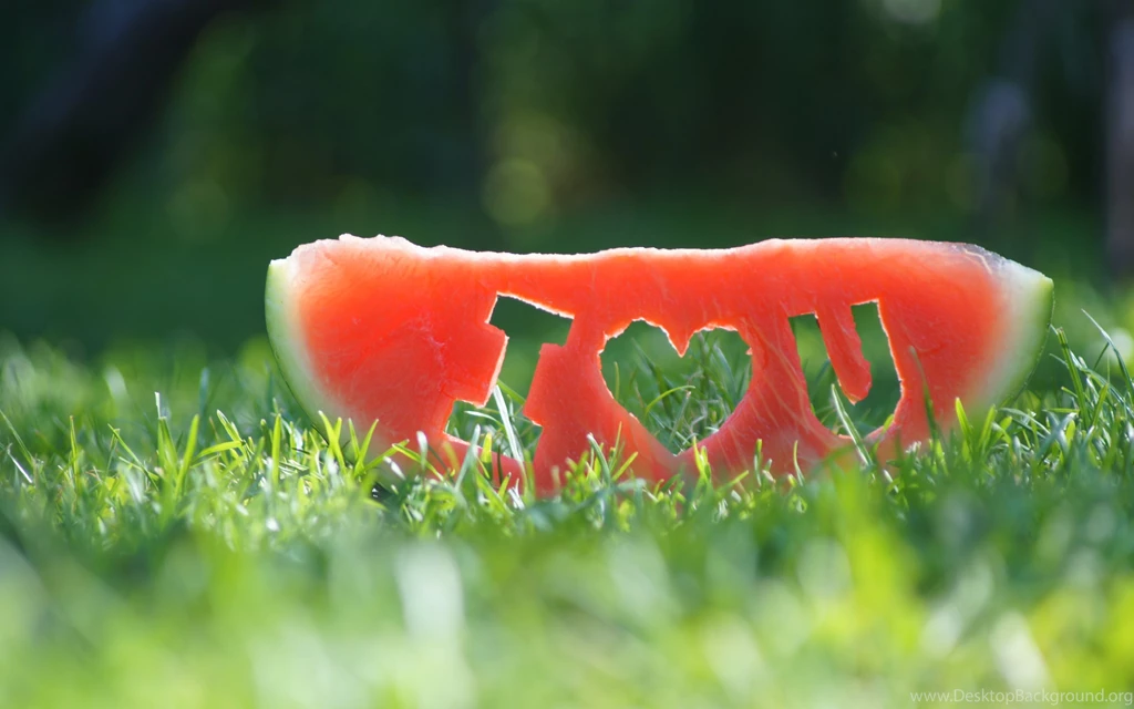 Watermelon: I Love You HD Wallpapers. 4K Wallpapers